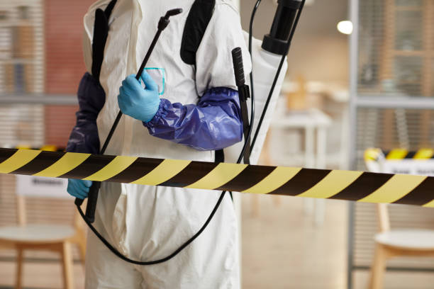 Professional Sewage Cleanup technician working in Longmont, CO